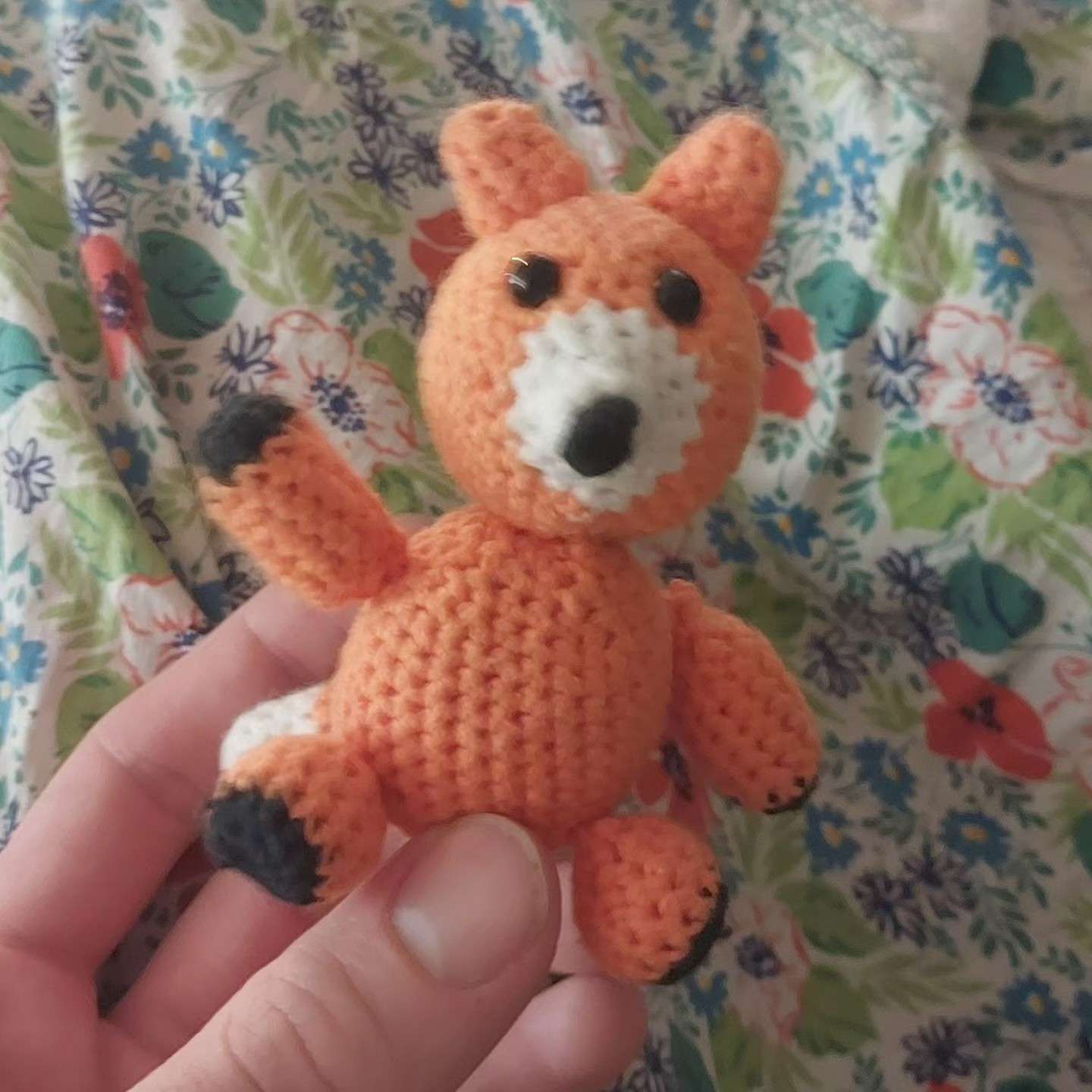 Fox